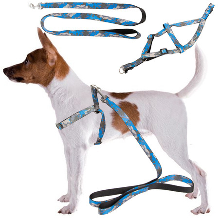 Laisse avec harnais harnais de marche pour chien chat taille ajustable confortable