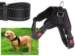 Sturdy, non-pressure harness for dogs handle light m