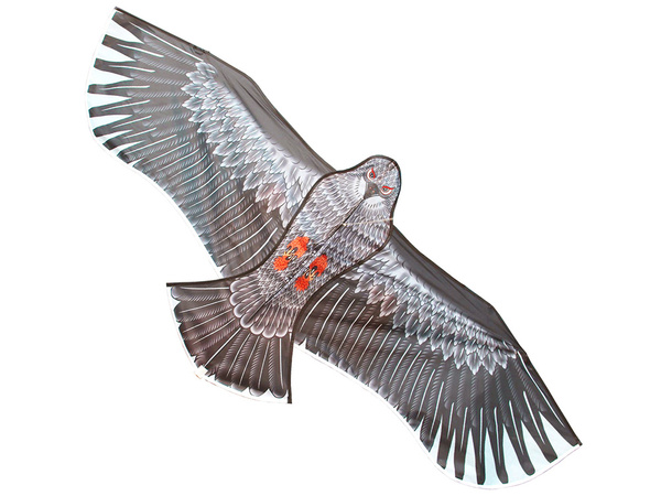 Cometa bird eagle 2m disuasor de aves con línea