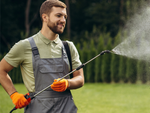 Pressure sprayer garden hand sprayer long lance 5l belt
