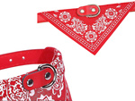 Koera kaelarihm koos bandannaga koerale kassile m