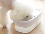 Brunnen katze napf hund wasser und futter automatische tränke 2in1 usb