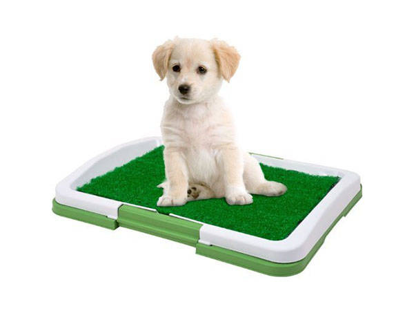 Puppy dog grass litter tray learning mat