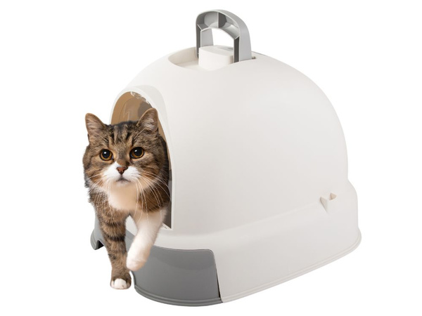 Katzentoilette gross geschlossen für streuschaufel stabiler auszug