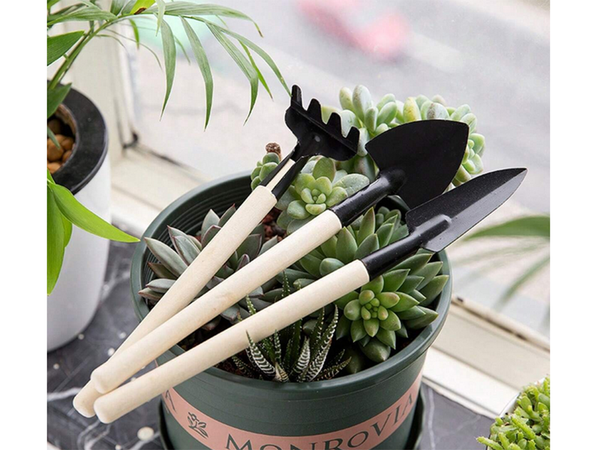 Ensemble d'outils de jardinage râteau pelle 3in1 mini outils de rempotage