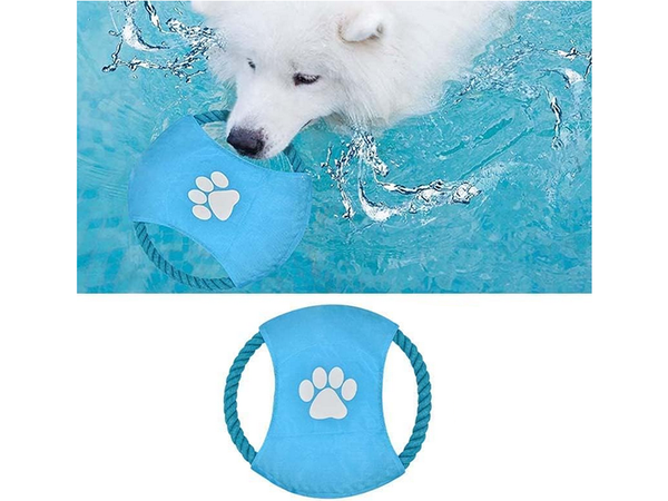 Pasja igrača za žvečenje vlečenje vrvi frisbee disk