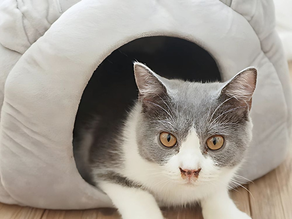 Pat de pluș cocon pentru câine pisică moale pernă lenjerie de pat pufos