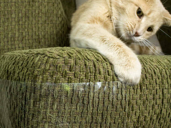 Grosse schutzmöbelkappe für katzen 2 stück