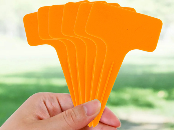 Pflanzenbeschreibung etiketten seeds characteristics 50 stück