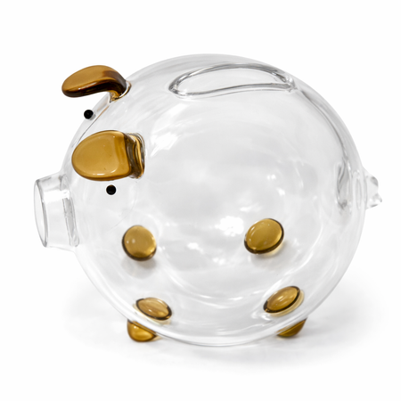 MAJHNA RJAVA PRAŠIČKA HRANILNIK (48)