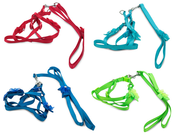 Шлейка поводок для собаки кошки кролика p1