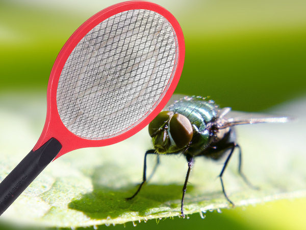 Paleta atrapa moscas eléctrica paquete atrapa moscas mosquitos polillas acum.