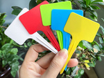 Plant description labels seeds characteristics 50pcs
