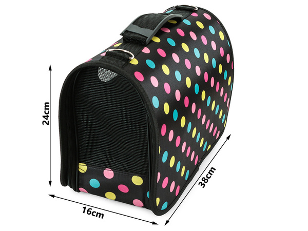 Transpordikott koerakandja kass suur