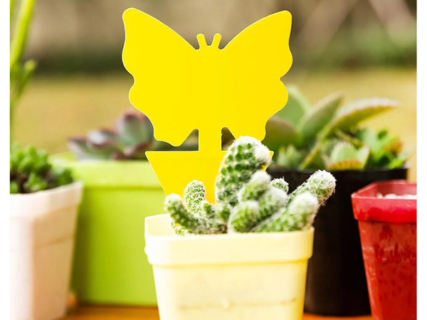 Stickere galbene lipicioase galbene pentru insecte de scară muște de fructe 12 buc