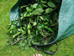 Garden bag bag garden leaf catcher grass container 120l strong large