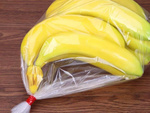 Bag sealer tape sealer mini