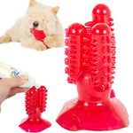 Perro masticar cepillo de dientes cactus para perros