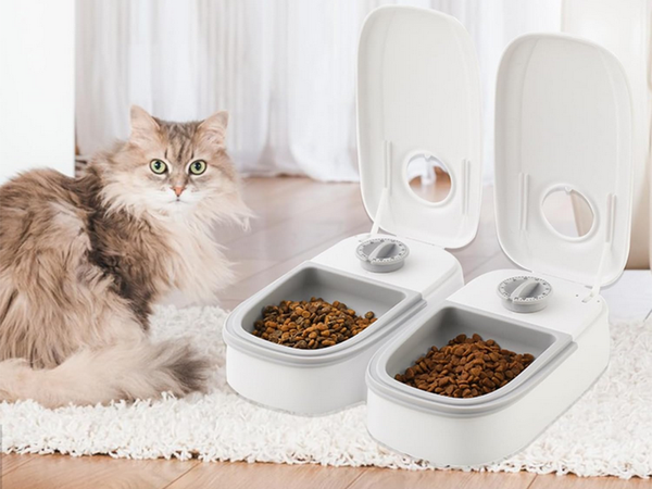 Double bol pour chien chat distributeur automatique de nourriture timer large