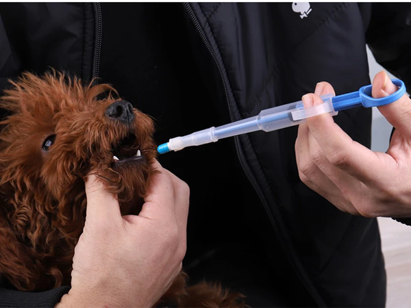 Tablet drug applicator milk syringe dispenser feeder