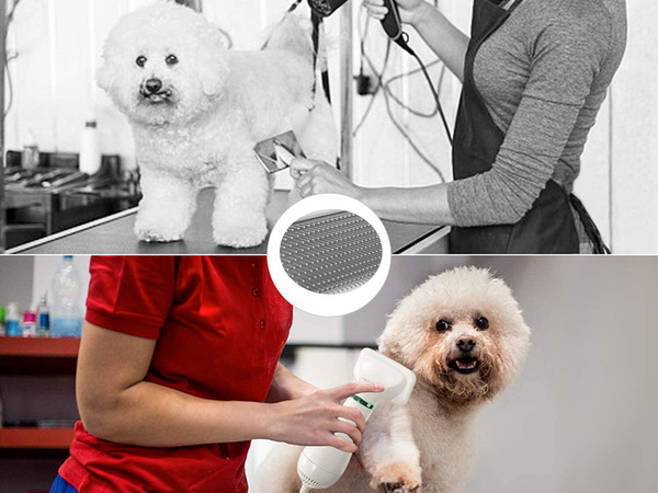 Secador de pelo cepillo peine 2en1 para mascotas perro
