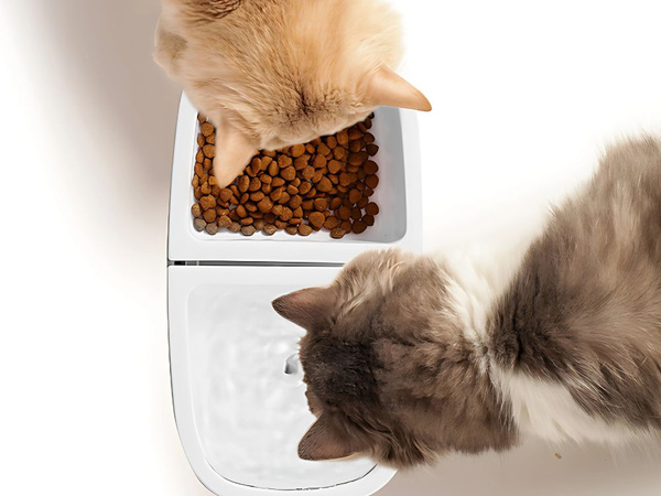 Fontana mačka skleda pes voda in hrana avtomatski pitnik 2v1 usb