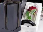 Rose éternelle en verre rouge cadeau lumineux pour une occasion pour femmes