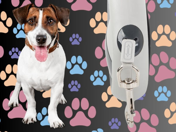 Automatic leash 5m strong for dog up to 20kg with lock strong long