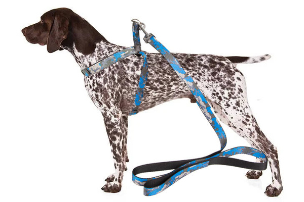 Leash with harness walking harness for dog cat adjustable size comfortable