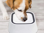 Floating water bowl for dog and cat 1l non-splashing slow drinker