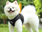 Soft soft strong reflector xs pressureless walking harness for dog cat rabbit soft strong reflector xs