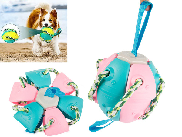 Jouet pour chien frisbee balle disque volant jouet à mâcher