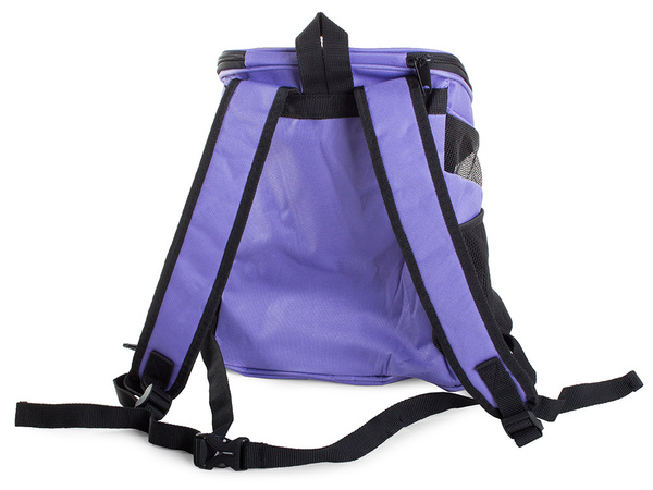 Carry bag backpack for dog cat