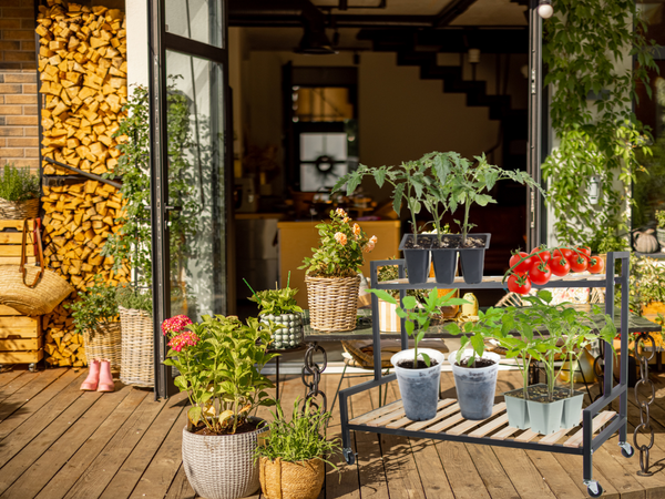 Parterre de madera para flores en maceta estantería de dos pisos sobre ruedas terraza