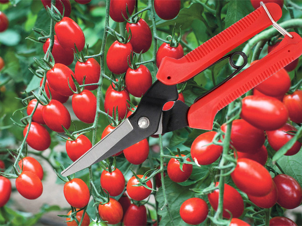 Hand pruning shears shrub pruning shears grass plant pruning shears