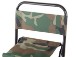 Folding fishing chair tourist backrest