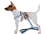 Laisse avec harnais harnais de marche pour chien chat taille ajustable confortable