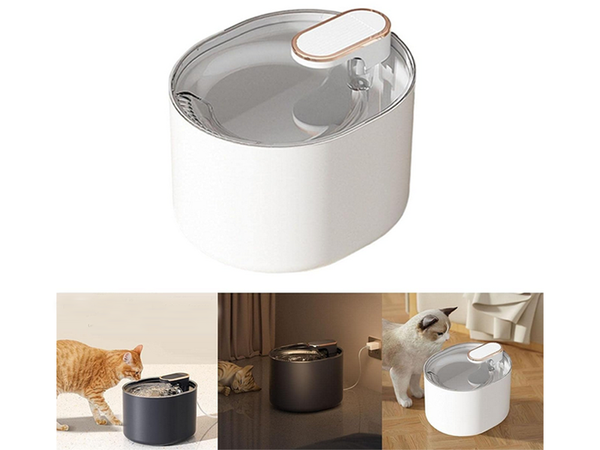 Abreuvoir automatique pour chat fontaine d'eau pour chien filtres bol d'eau