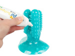 Dog chew toothbrush cactus for dogs