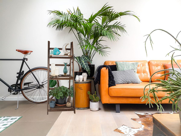 Medinės nuolatinės gėlių lysvės kopėčios trys lentynos augalų lentyna