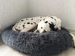 Flauschiges hundebett katzenbettwäsche weiches kissen couch bettwäsche 80cm