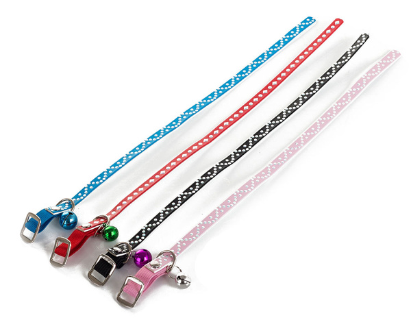 Carte chien adjustable avec anneau 30cm