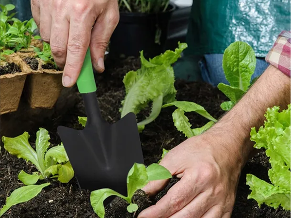 Pala de jardin para plantar trasplantar plantas para acolchar pala
