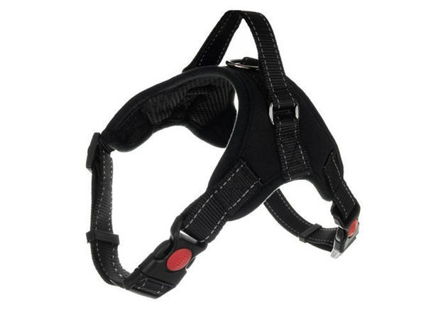 Trpežen pas za pse brez pritiska ročaj light xl