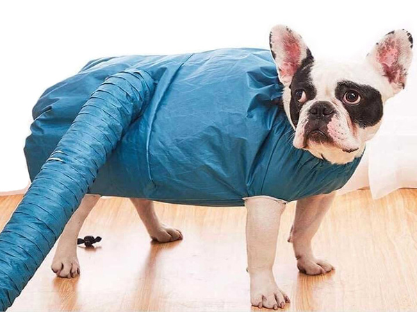 Sac de soufflerie pour séchoir à chiens