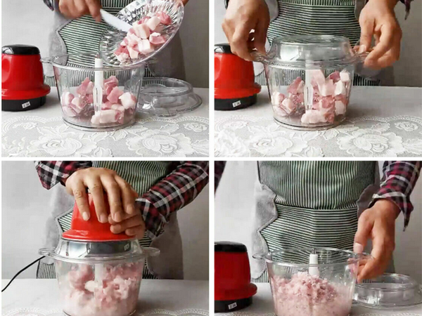 Elektrohäcksler gemüsehäcksler