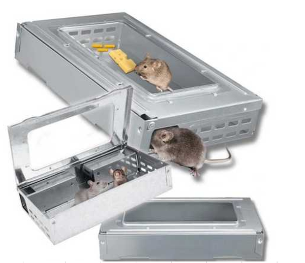 TRAMPA VIVA PARA RATONES 3 (25)