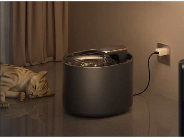 Bebedero automático para gatos fuente de agua para perros filtros cuenco de agua