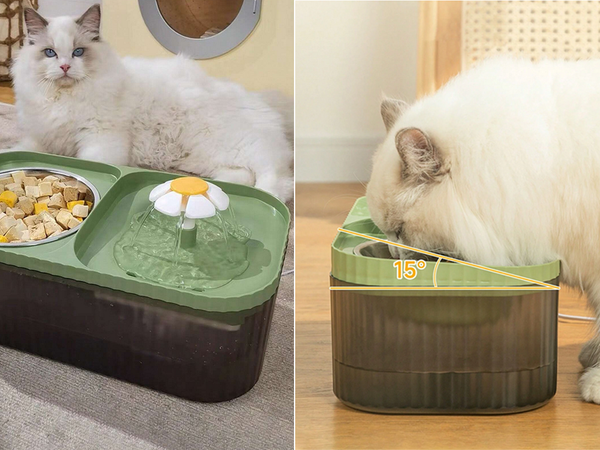 Automaatne kassi jootja koera vee purskkaevu filter toidukauss