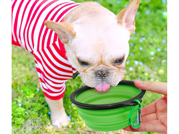 Silicone folding bowl for dog cat travel travel light 800ml
